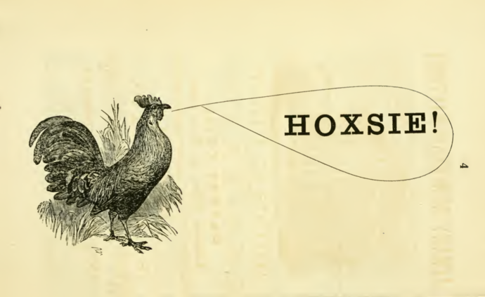 Hoxsie.png